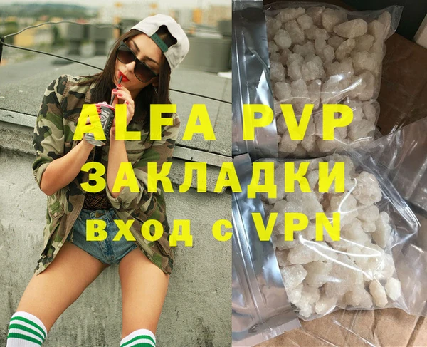 PSILOCYBIN Вяземский