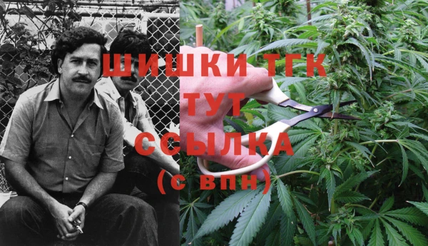 экстази Вязьма