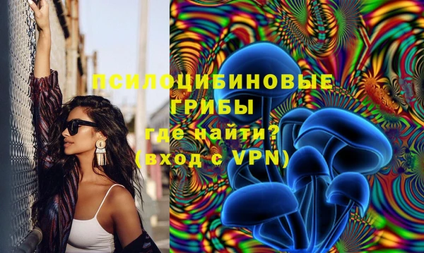 PSILOCYBIN Вяземский
