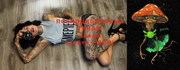 ECSTASY Горнозаводск