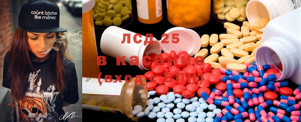 PSILOCYBIN Вяземский