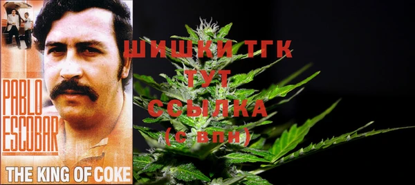 дживик Вязники