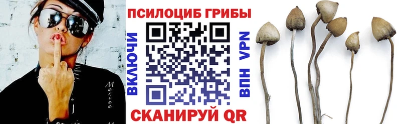 Псилоцибиновые грибы мицелий blacksprut рабочий сайт Далматово даркнет сайт